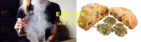 PSILOCYBIN Вяземский