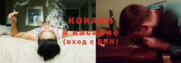 PSILOCYBIN Вяземский