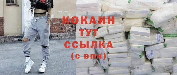 соль ск Лиски
