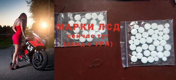 PSILOCYBIN Вяземский