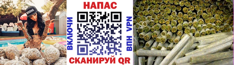 где продают наркотики  Муром  Конопля OG Kush 